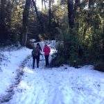 Caminata villa langostura argentina angostura