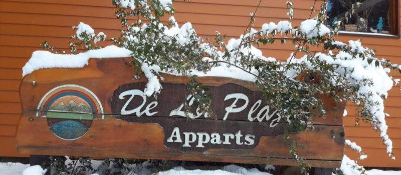 Cartel De La Plaza Villa Langostura Argentina Aparthotel 2 Angostura Neuquen