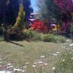 Jardin villa langostura argentina angostura