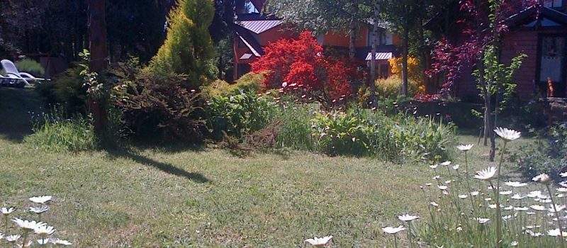 Jardin De La Plaza Villa Langostura Argentina Aparthotel 2 Angostura Neuquen