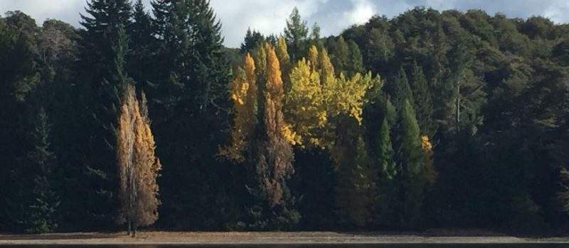 Lago Calmachicho Villa Langostura Neuquen Argentina Alquiler 3 Calma Chicho La Angostura