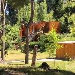 Portada calmachicho villa langostura argentina angostura