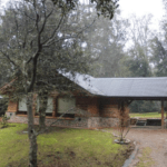 Alquiler Casa En El Bosque De Puerto Manzano