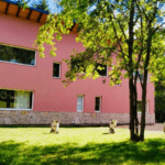 Alquiler Casa Silvestre Y Casa Rosa