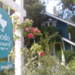 Hotel Dodo House