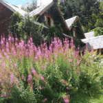 Hotel Las Casas De Alicia