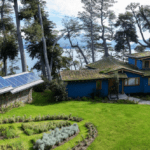 Hotel Savia Madre Eco-lodge